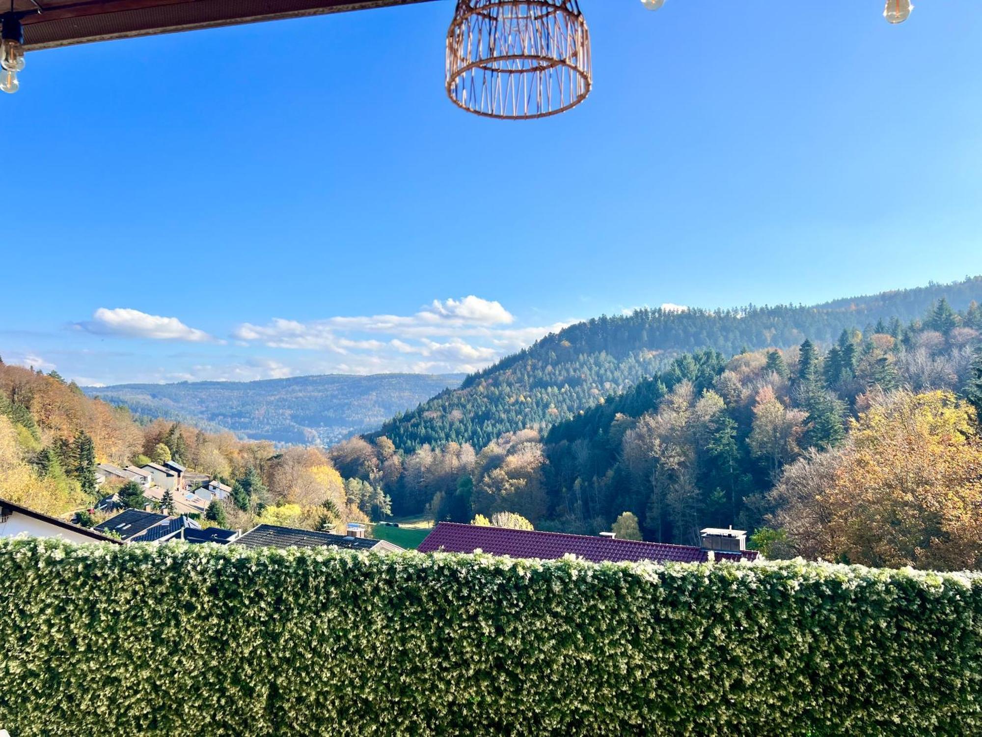 巴特黑雷纳尔布Wohnen Im Schwarzwald Mit Panoramablick公寓 外观 照片