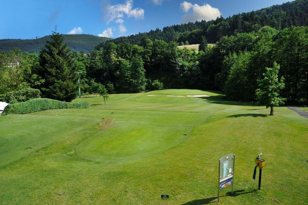 巴特黑雷纳尔布Wohnen Im Schwarzwald Mit Panoramablick公寓 外观 照片
