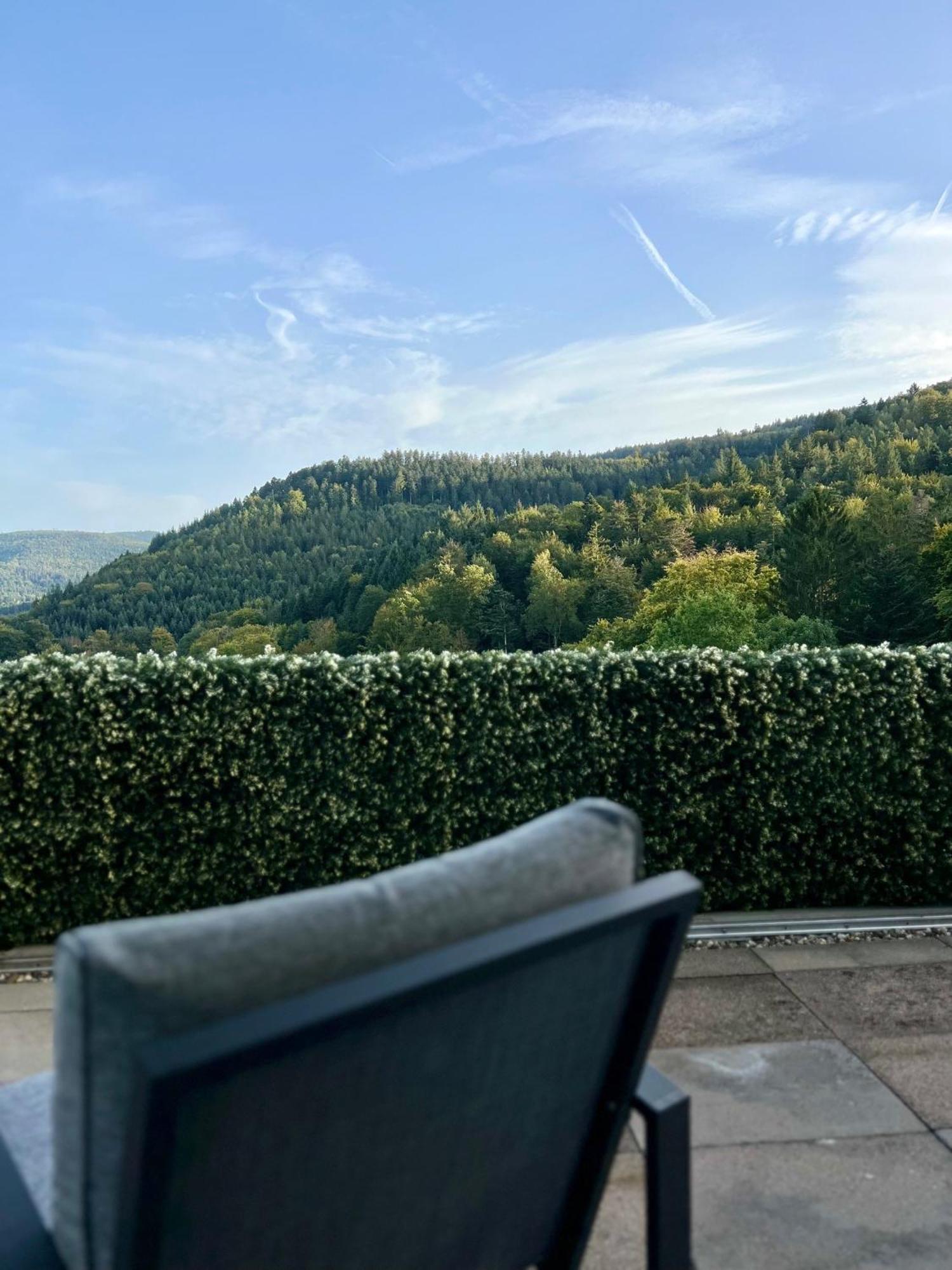巴特黑雷纳尔布Wohnen Im Schwarzwald Mit Panoramablick公寓 外观 照片