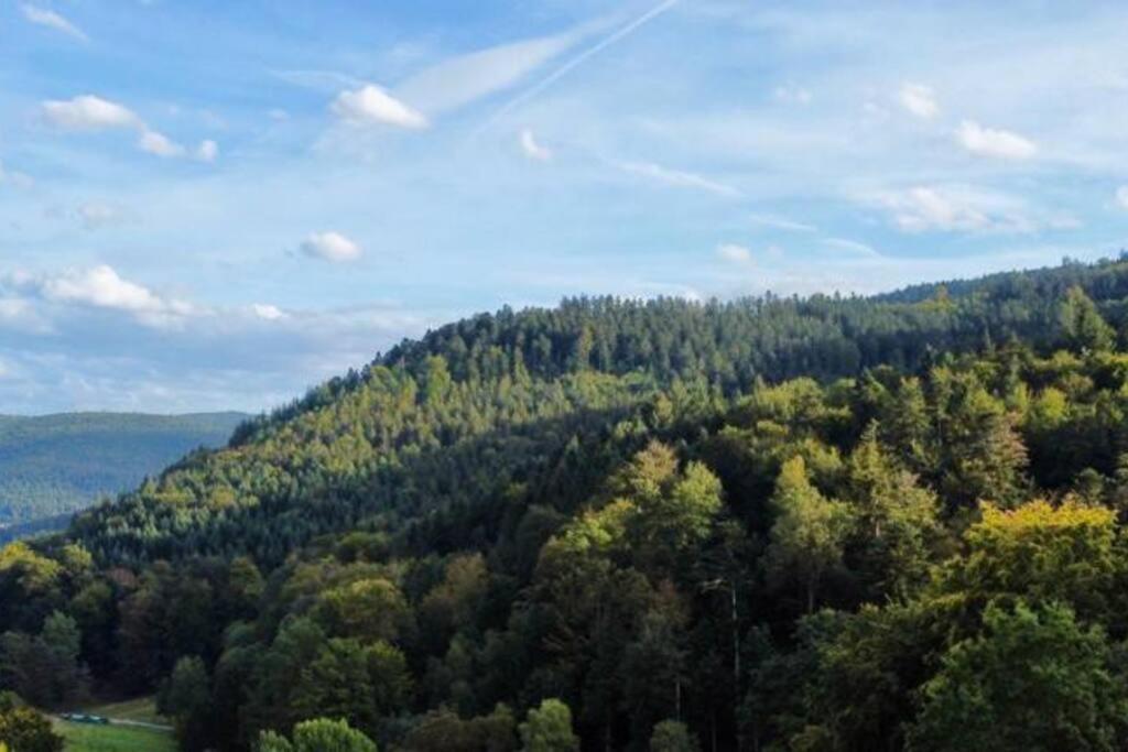 巴特黑雷纳尔布Wohnen Im Schwarzwald Mit Panoramablick公寓 外观 照片